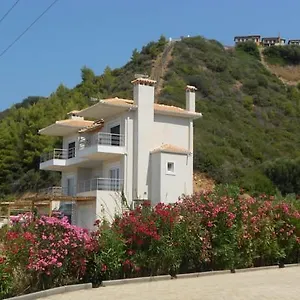 https://into-the-blue.hotelschalkidiki.net